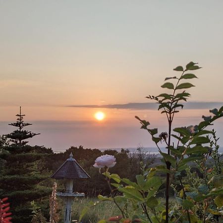 Hafoty Farm Cottages Caernarfon Exteriér fotografie